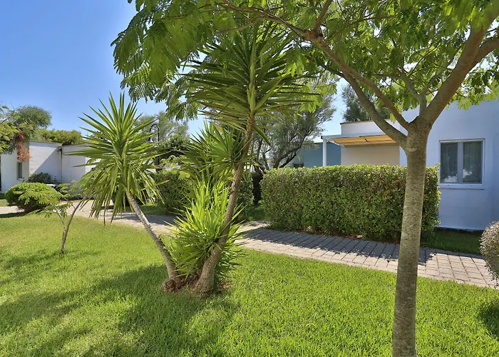 Futura Club 托雷瑞纳尔达