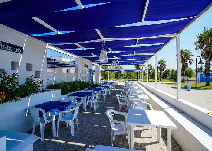 Futura Club 4* 托雷瑞纳尔达